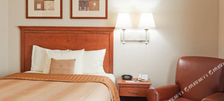 Candlewood Suites EASTCHASE公园 by IHG(Candlewood Suites Eastchase Park)图片