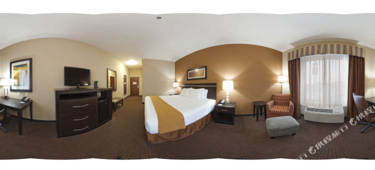 智选假日套房酒店拉马尔(Holiday Inn Express & Suites Lamar)图片