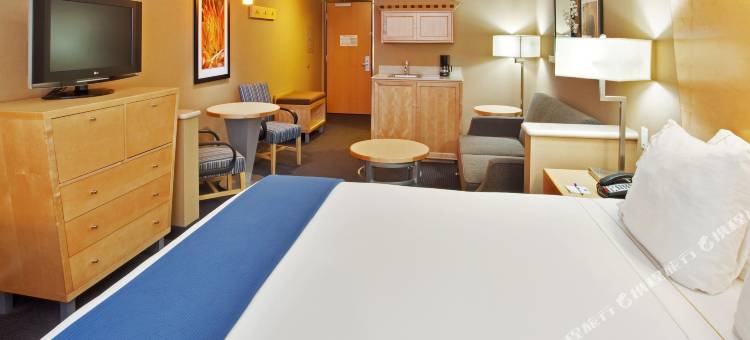 智选假日套房酒店莫德斯托，萨利达(Holiday Inn Express & Suites Modesto-Salida)图片