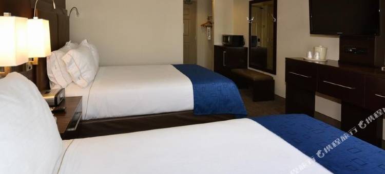 智选假日套房酒店圣克拉拉(Holiday Inn Express & Suites Santa Clara)图片