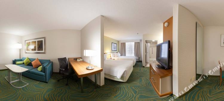 芝加哥西南布尔里奇/欣斯代尔SpringHill Suites 酒店(SpringHill Suites by Marriott Chicago Southwest at Burr Ridge/Hinsdale)图片