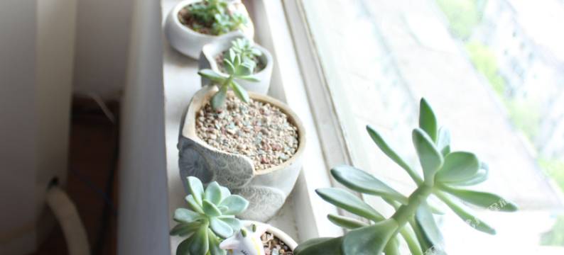 长沙旅行家太空舱青年客栈图片