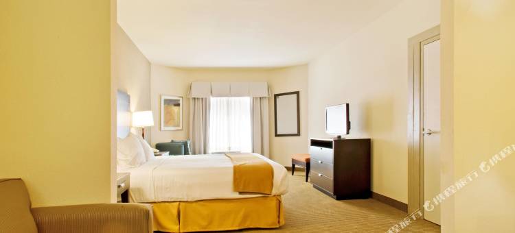智选假日套房酒店新乐北(Holiday Inn Express & Suites Shamrock North)图片