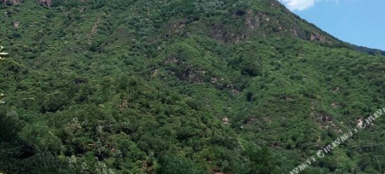 万仙山天梯宾馆图片