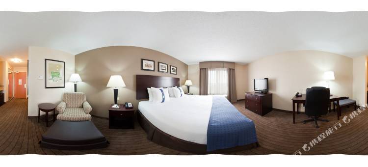 Holiday Inn 奥罗拉北，内珀维尔(Holiday Inn Aurora North- Naperville)图片