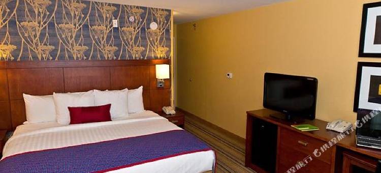 明尼苏达州法戈莫尔黑德万怡酒店(Courtyard Fargo Moorhead, MN)图片