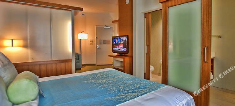 坦帕北/坦帕棕榈万豪SpringHill酒店(SpringHill Suites Tampa North/I-75 Tampa Palms)图片