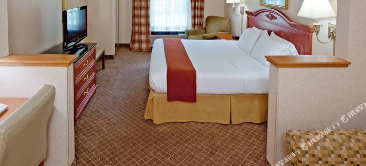 阿灵顿山-洛克威区假日快捷套房酒店(Holiday Inn Express & Suites Mount Arlington-Rockaway Area)图片