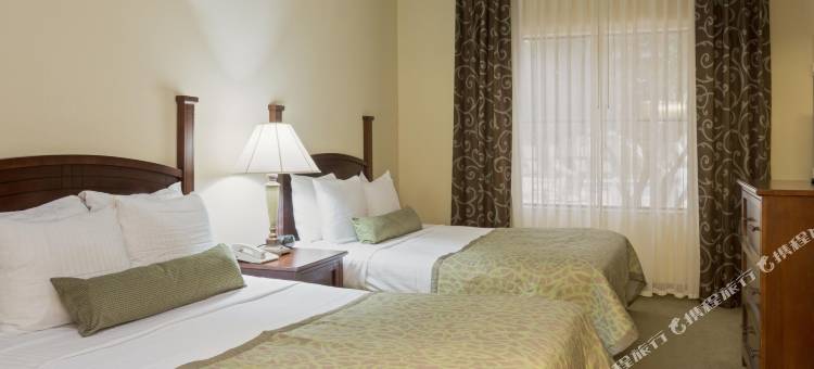 Staybridge Suites 奥兰多南(Staybridge Suites Orlando Airport South)图片