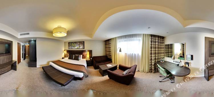 雷丁东皇冠假日酒店(Crowne Plaza Reading)图片