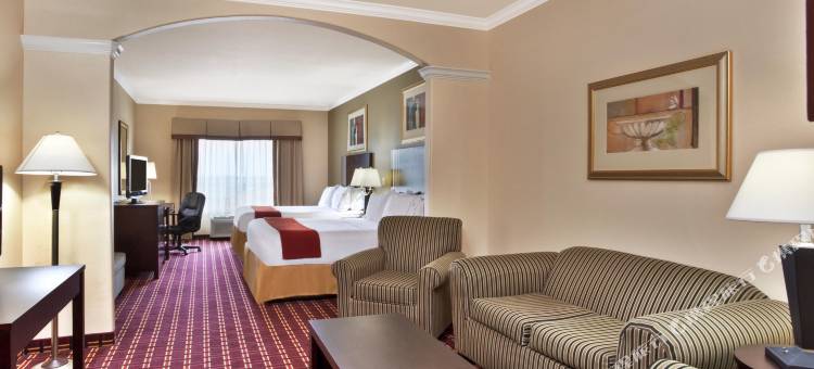 智选假日套房酒店西利 by IHG(Holiday Inn Express & Suites Sealy)图片