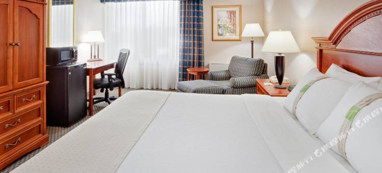 Holiday Inn 奥本指湖区(Holiday Inn Auburn-Finger Lakes Region)图片