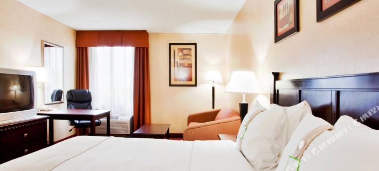 Holiday Inn 罗阿诺克 - 望谷(Holiday Inn Roanoke Airport-Conference Ctr)图片