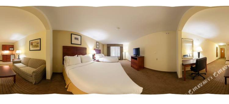 智选假日套房酒店东兰辛(Holiday Inn Express & Suites East Lansing)图片