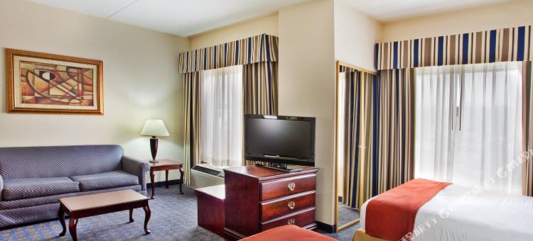 罗维莎智选假日酒店及套房(Holiday Inn Express & Suites Lawrenceville)图片