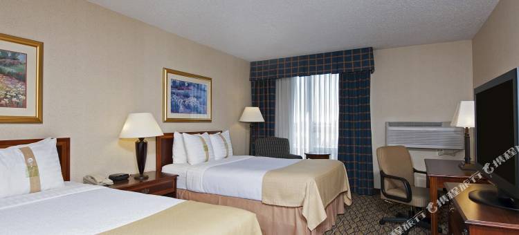 Holiday Inn 芝加哥ELK GROVE(Holiday Inn Chicago-Elk Grove)图片