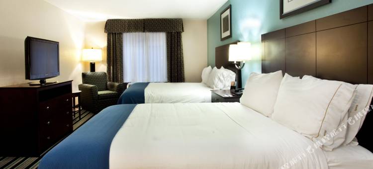 巴吞鲁日艾伦港智选假日酒店及套房(Holiday Inn Express & Suites Baton Rouge -Port Allen)图片