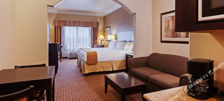 智选假日套房酒店休斯顿 - 阿尔文(Holiday Inn Express & Suites Houston-Alvin)图片