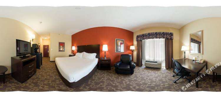 智选假日套房酒店列克星敦东北(Holiday Inn Express & Suites Lexington Dtwn Area-Keeneland)图片