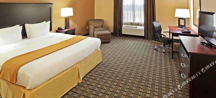 智选假日套房酒店特克萨卡纳东(Holiday Inn Express & Suites Texarkana East)图片