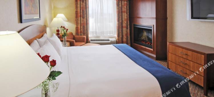 智选假日套房酒店宾顿(Holiday Inn Express & Suites Brampton)图片