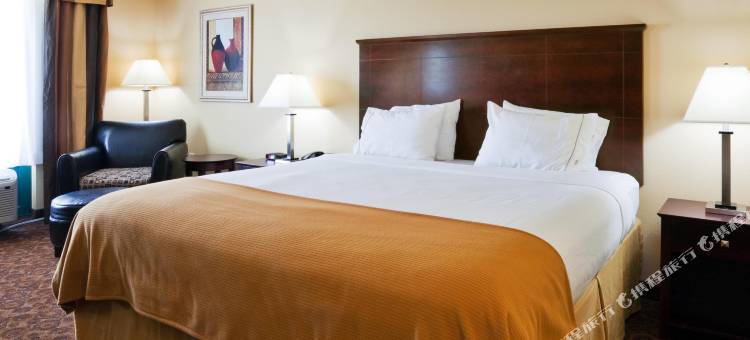 塞尔马智选假日套房酒店(Holiday Inn Express & Suites Selma)图片