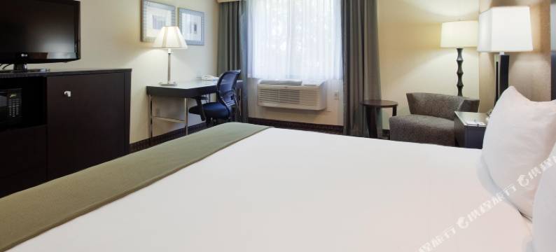 Holiday Inn Express 盟市(州圣何塞)(Holiday Inn Express UNION CITY (SAN JOSE) by IHG)图片