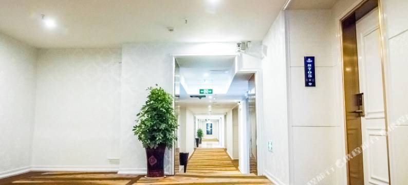 桐柏沁园印象精品酒店图片