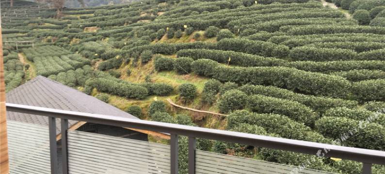 杭州清静民宿(西湖风景区梅家坞店)图片