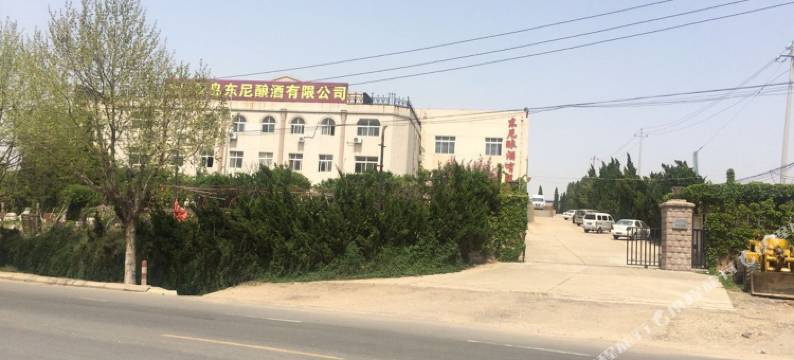 青岛乐客林旅馆图片