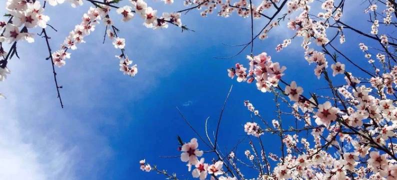 波密望江宾馆图片