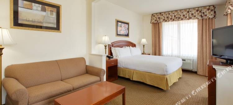智选假日套房酒店阿比林MALL的南(Holiday Inn Express & Suites Abilene Mall South)图片
