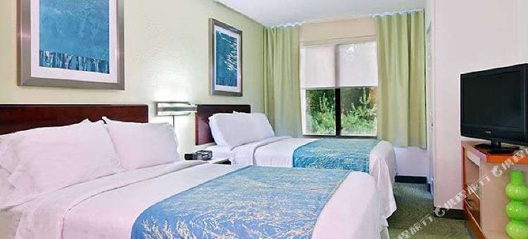 阿什维尔万豪SpringHill酒店(SpringHill Suites Asheville)图片
