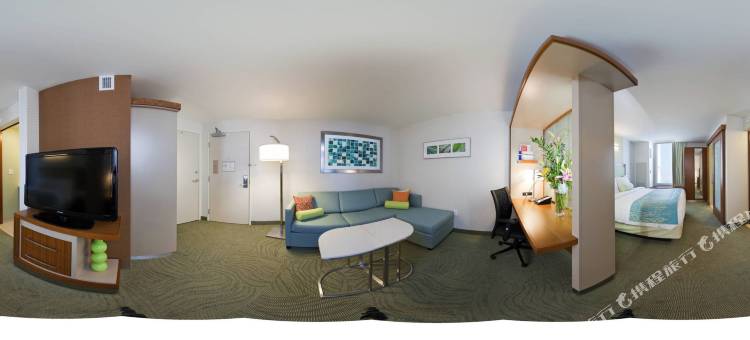 印第安纳波利斯市中心SpringHill套房(SpringHill Suites Indianapolis Downtown)图片