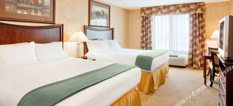 智选假日套房酒店伯利恒ARPT -亚兰敦区(Holiday Inn Express & Suites Bethlehem Arpt-Allentown Area)图片