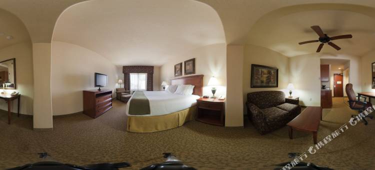 智选假日套房酒店拉斯克鲁塞斯(Holiday Inn Express & Suites Las Cruces)图片