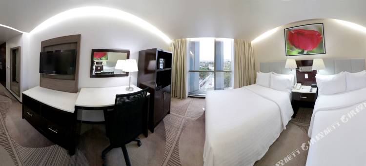 Holiday Inn & Suites 墨西哥城MEDICA SUR(Holiday Inn & Suites MEXICO MEDICA SUR by IHG)图片