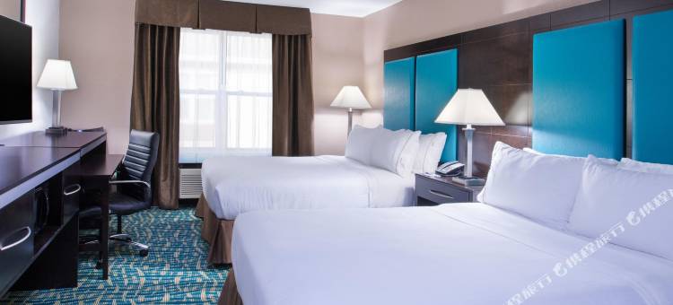 怀奥米辛智选假日套房酒店(Holiday Inn Express & Suites Wyomissing)图片