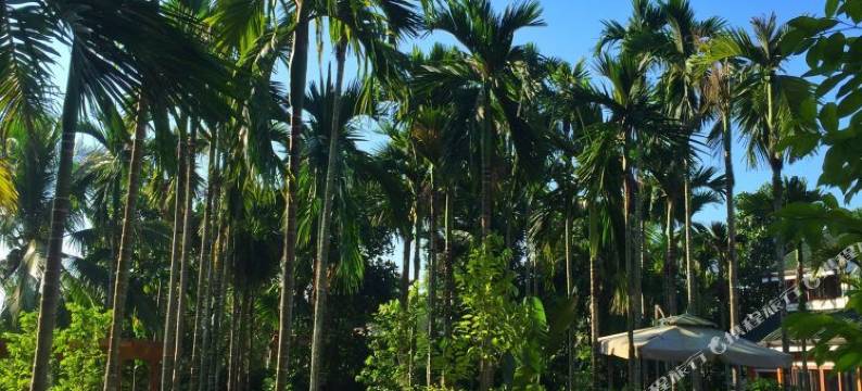 万宁文通乡韵民宿图片