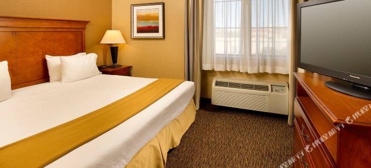 智选假日套房酒店圣安东尼奥DTWN市场区(Holiday Inn Express & Suites San Antonio-Dtwn Market Area)图片