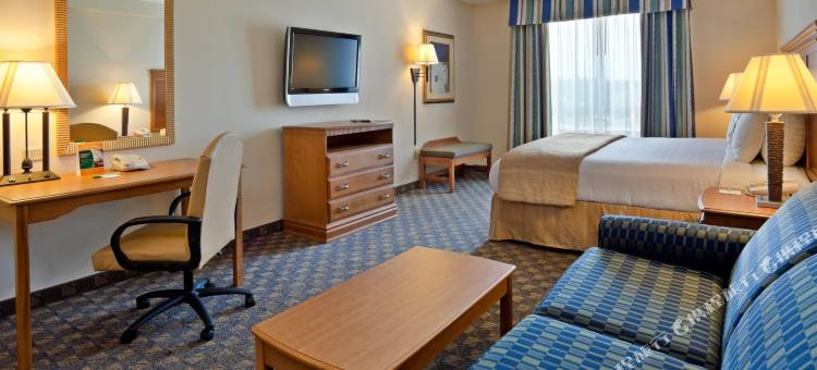 Holiday Inn 弗多斯塔会议中心(Holiday Inn Valdosta Conference Center)图片