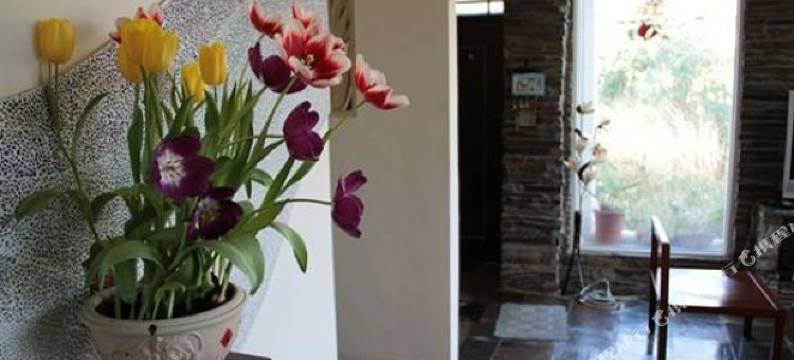 屏东四重溪看山民宿图片