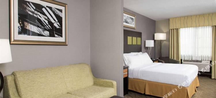 智选假日套房酒店丹维尔(Holiday Inn Express & Suites Danville)图片