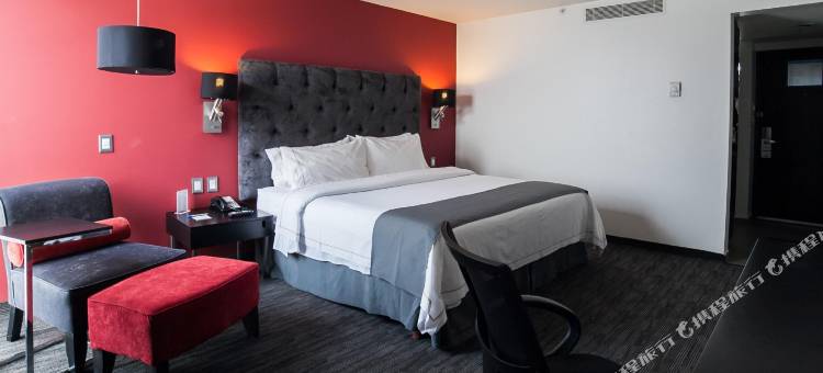 托卢卡加莱里亚斯梅特佩克智选假日酒店(Holiday Inn Express TOLUCA GALERIAS METEPEC by IHG)图片
