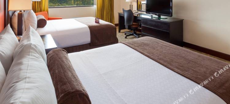 Crowne Plaza 新圣何塞COROBICI(Crowne Plaza San Jose la Sabana)图片