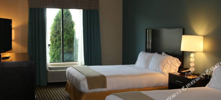 智选假日酒店及套房 扬斯敦西 - 奥斯丁镇 IHG(Holiday Inn Express & Suites Youngstown West - Austintown)图片