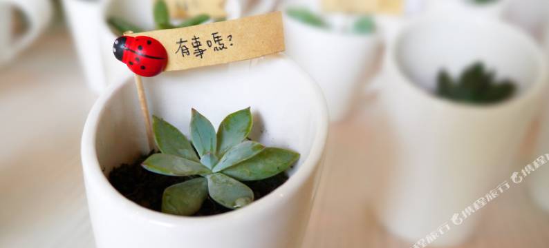 台中逢甲叶绿宿旅馆图片