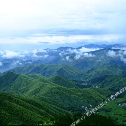 德清+莫干山风景名胜区2日1晚私家团