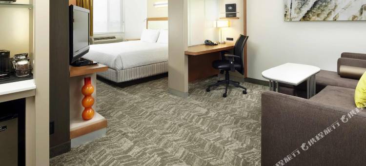芝加哥沃基根/古尼万豪SpringHill酒店(SpringHill Suites Chicago Waukegan/Gurnee)图片