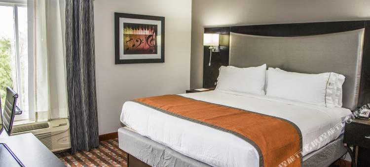 智选假日套房酒店纳什维尔口岸(Holiday Inn Express & Suites Nashville Southeast - Antioch)图片